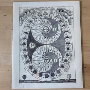 Vintage Illustration Art Print - Moon Phase Chart
